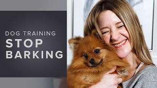 How to Train Your Dog to Stop Barking  Dog Training [upl. by Heall]