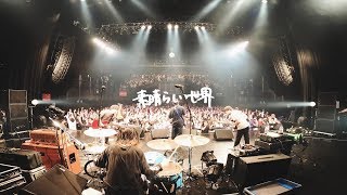 KOTORI 「素晴らしい世界」Official Live Video [upl. by Mcquade925]