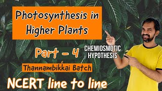 Photosynthesis in higher plants  Part 4  Chemiosmotic hypothesis  NCERT LINE TO LINE [upl. by Fife462]