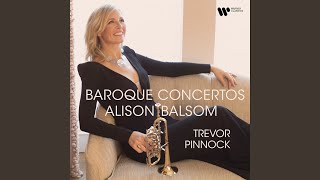 Concerto grosso in D Major HWV 323 IV Largo Transcr for Piccolo Trumpet and Baroque [upl. by Allebara640]