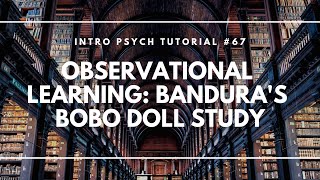 Observational Learning Banduras Bobo Doll Study Intro Psych Tutorial 67 [upl. by Ingamar]