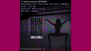 Smallpools  Run With the Bulls Extended [upl. by Nel120]