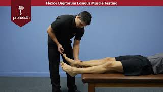 Flexor Digitorum Longus Muscle Test Dr Vizniak Muscle Manual [upl. by Eam]