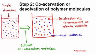 Microencapsulation by coacervation phase separation Microcapsule preparation [upl. by Ambrosane985]