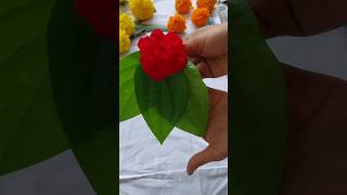 Ganesh decoration ideas 🙏 💡  vinayakudu decoration ideas ganeshdecorationideas ganesh [upl. by Aniroc]