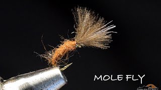 Mole Fly by Charlie Craven [upl. by Oiramd443]