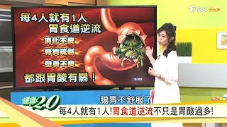 胃食道逆流不只是胃酸過多，讓你的胃變年輕2招必勝！健康20 20190512完整版 [upl. by Annairt]