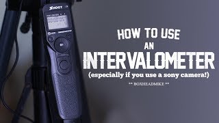 How to use an intervalometer timelapse photography [upl. by Liam]