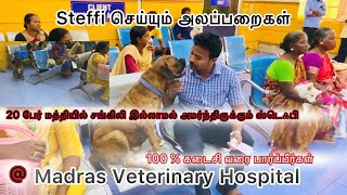 ❤️ Steffi செய்யும் அலப்பறைகள் Madras Veterinary Hospital Pet Hospital animals pets hospital dog [upl. by Artinek255]