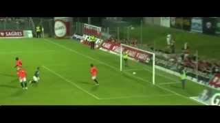 Miralem Sulejmani  GoalsSkills Faults by We are Benfica [upl. by Radnaxela]