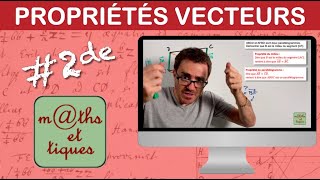 Utiliser des propriétés sur les vecteurs  Seconde [upl. by Cherise]