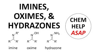 imines hydroxylamines amp hydrazones [upl. by Vilberg]