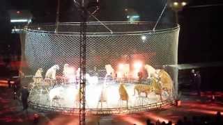 Ringling Bros and Barnum amp Bailey Circus Part 1 [upl. by Ancelin]