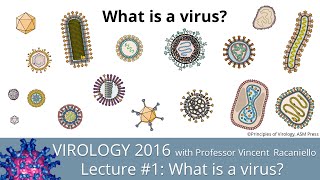 Virology Lectures 2016 1 What is a virus [upl. by Anauqaj959]