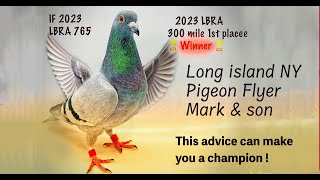 Mark and Son Loft shares secrets that can make you a pigeon champion [upl. by Yrreb]