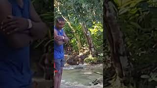 Dunns River Falls Jamaica [upl. by Voltz]