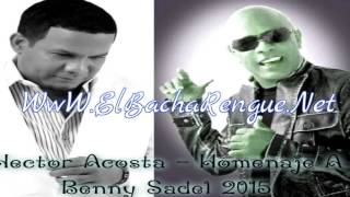 Hector Acosta  Homenaje A Benny Sadel 2015 [upl. by Swirsky]