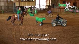 Smarty Xtreme Roping Demonstration  Allen Bach [upl. by Lucien974]