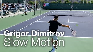 Grigor Dimitrov Forehand amp Backhand Tennis Practice at Court Level in Slow Motion  Indian Wells [upl. by Montana809]