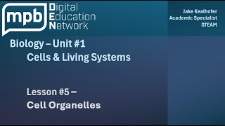 MPB Biology Unit 1 Lesson 5 Cell Organelles [upl. by Files677]