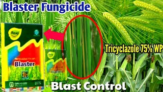 Blaster fungicide  Tricyclazole 75 WP  Paddy Wheat Sugarcane Maize Blast Disease Control [upl. by Ruvolo]