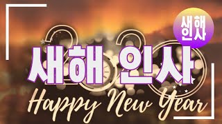 새해인사 동영상 새해 영상 HAPPY NEW YEAR [upl. by Granlund]