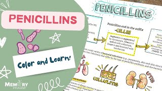 Penicillin Antibiotics Made Easy Mnemonics Mechanism of Action Side Effects Counseling Points [upl. by Brnaba730]