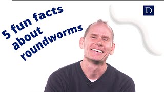 5 Fun Facts about Roundworms [upl. by Gonta230]