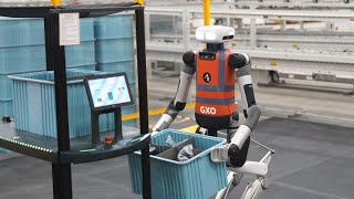 6 Warehouse Robots Everything You Need to Know [upl. by Assyl]