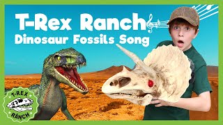 Dinosaur Fossils Song  A Long Long Time Ago TRex Ranch Songs for Kids [upl. by Suoilenroc]