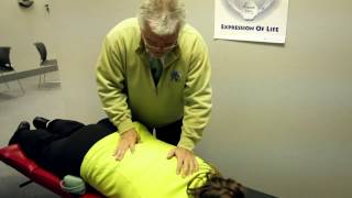 The Chiropractic Adjustment with Dr Fred Schofield [upl. by Bullivant675]