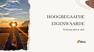 Hoogbegaafde eigenwaarde [upl. by Helaina815]