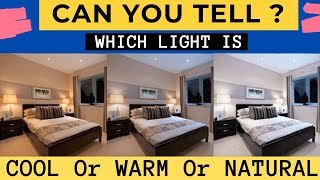 Warm vs natural vs white light best light for interior interior lighting best light for room [upl. by Carolynn]