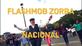 Flashmob Nacional Zorba Griego 2017  Fundación Mustakis [upl. by Lugar]