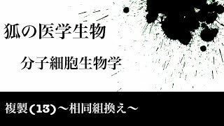 分子細胞生物学26 複製13〜相同組換え〜 [upl. by Caro]