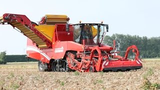 GRIMME TECTRON 415  selfpropelled Potato Harvester [upl. by Terese]