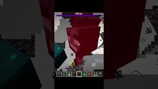 Warden vs Wither boss • Minecraft fights [upl. by Adiahs]