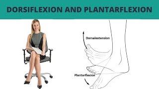 Dorsiflexion and Plantarflexion  TERMINOLOGY 7 [upl. by Nezam601]