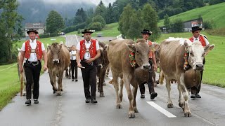 Alpabfahrt im Toggenburg Ennetbühl [upl. by Neerhtak816]