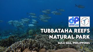 TUBBATAHA REEFS NATURAL PARK PHILIPPINES  GoPro underwater video FULL HD  Scuba diving travel [upl. by Nesbitt254]