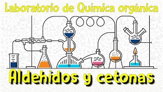 Práctica de laboratorioAldehídos y cetonas [upl. by Onilatac]