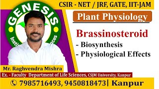 Brassinosteroids  Plant Physiology  CSIR NETJRF  Life science  GATE DBT [upl. by Elleynad]