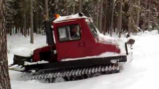 Bombardier Bombi in Swedish forest [upl. by Berliner65]