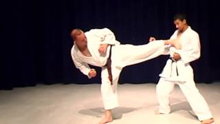 Shotokan Karate Exercise Ushiro Geri Back Kick [upl. by Husain799]