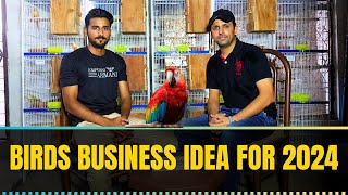 Birds Business in Pakistan  Business Ideas 2024 [upl. by Enimasaj]