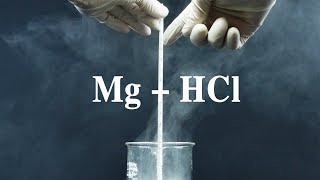 Mg  HCl Magnesium tác dụng với dung dịch hydrochloric acid [upl. by Jillian]