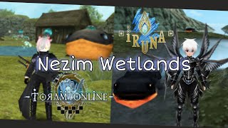 Nezim Wetlands  Toram Online x Iruna Online Big Monster Live There [upl. by Lottie943]