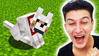 KÖPEK EVCİLLEŞTİRDİM ❤️ Minecraft 9 [upl. by Aikemahs]