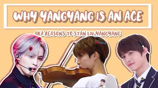 why wayv’s yangyang is an ace [upl. by Nimad]