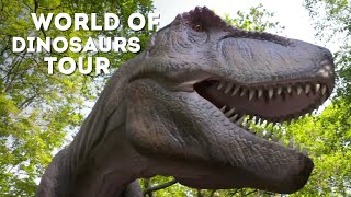 🔴 LIVE at the ZOO World of Dinosaurs [upl. by Notslar]